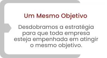 Um Mesmo Objetivo Desdobramos a estratégia para que toda empresa esteja empenhada em atingir o mesmo objetivo.