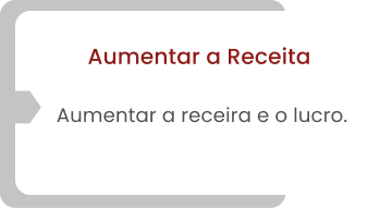 Aumentar a Receita Aumentar a receira e o lucro.