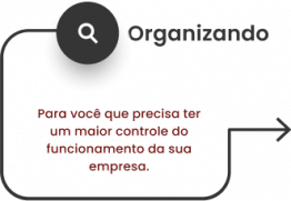 Organizando: Para você que precisa ter um maior controle do funcionamento de sua empresa.