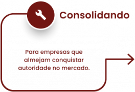 Consolidando: Para empresas que almejam conquistar autoridade no mercado.